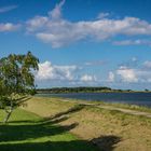  Deich bei Maasholm - Schleimündung in die Ostsee/Schl.-Holstein