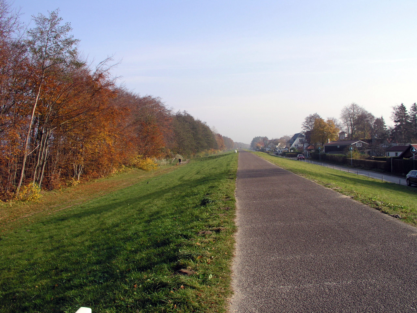 Deich hinterm Strandwald in Zingst