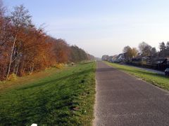 Deich hinterm Strandwald in Zingst