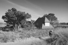 Deich in Vitte Insel Hiddensee 