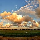 Deich-Panorama (HDR)