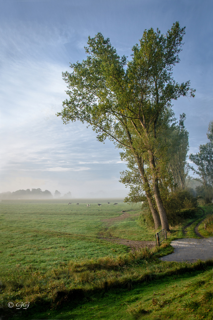 Deichausblick