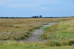 Deichblicke Insel Hiddensee 