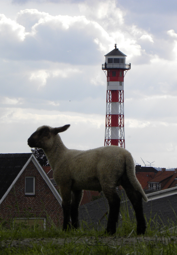 Deichlamm und Leuchtturm