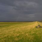 Deichlandschaft bei Husum