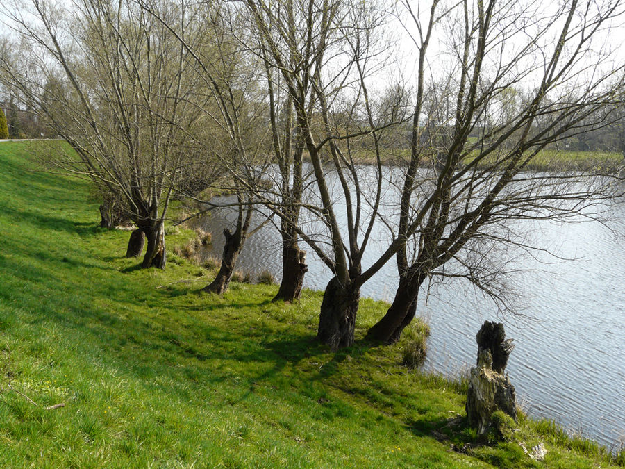 Deichlandschaft