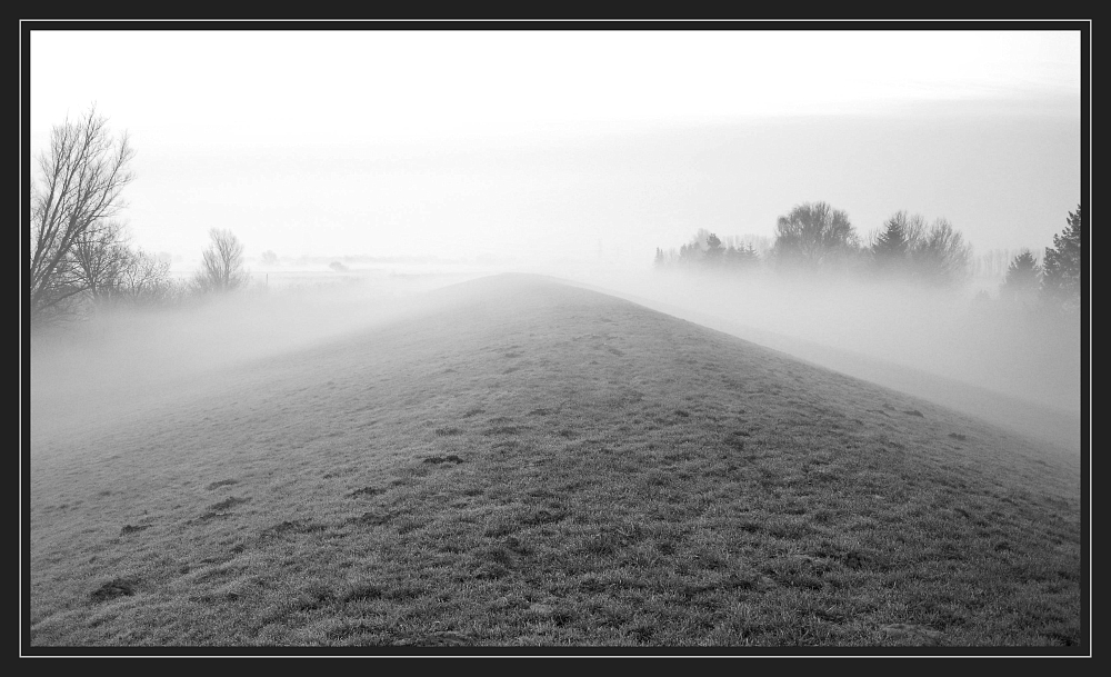 Deichnebel