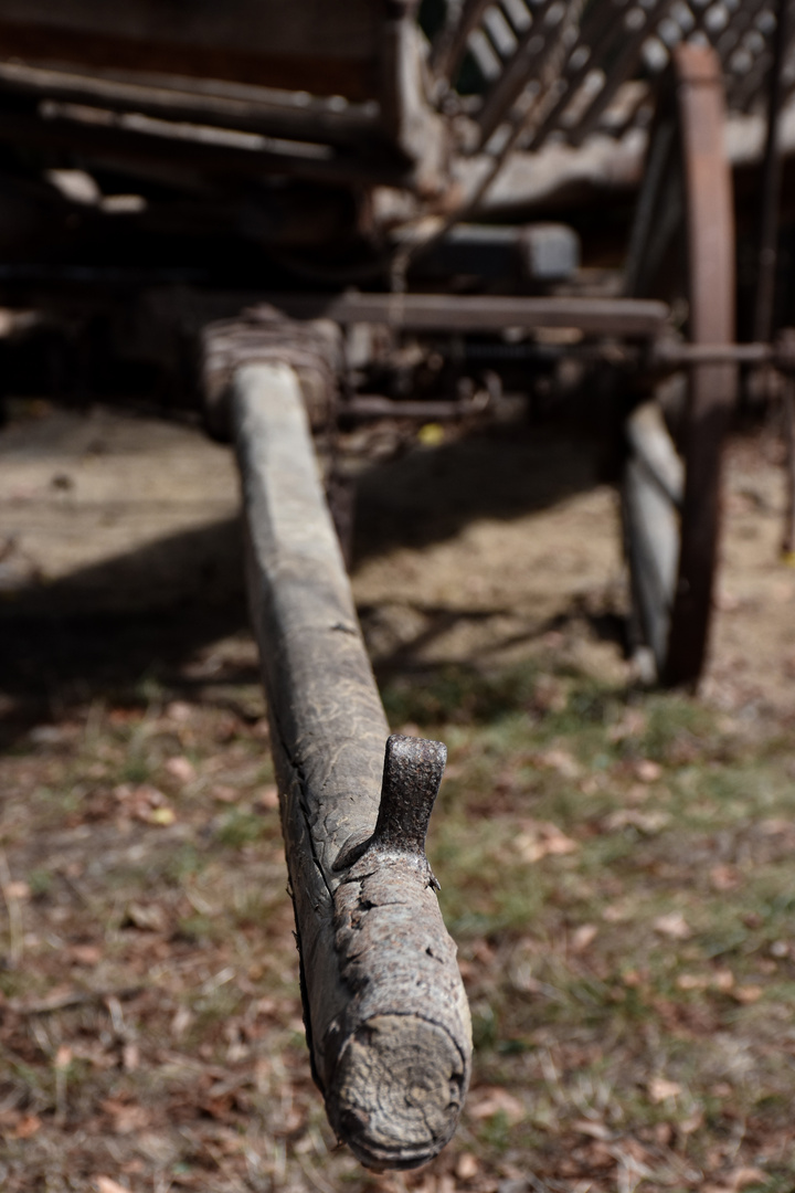 Deichsel Foto & Bild spezial, holz, formen Bilder auf