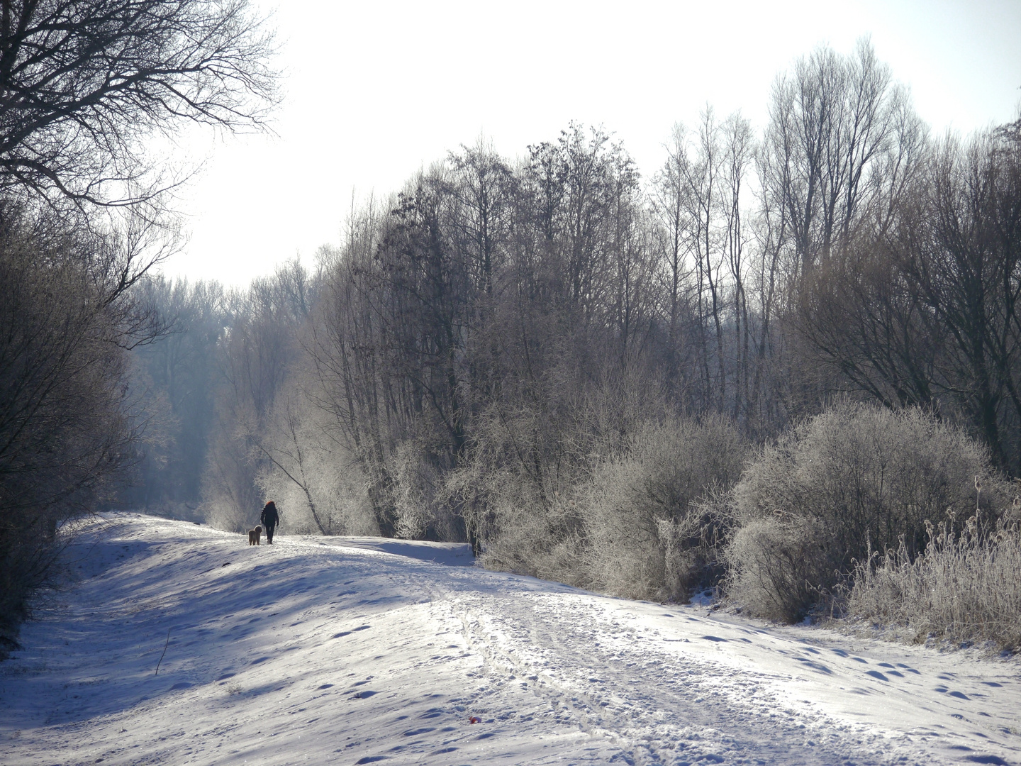 Deichspaziergang