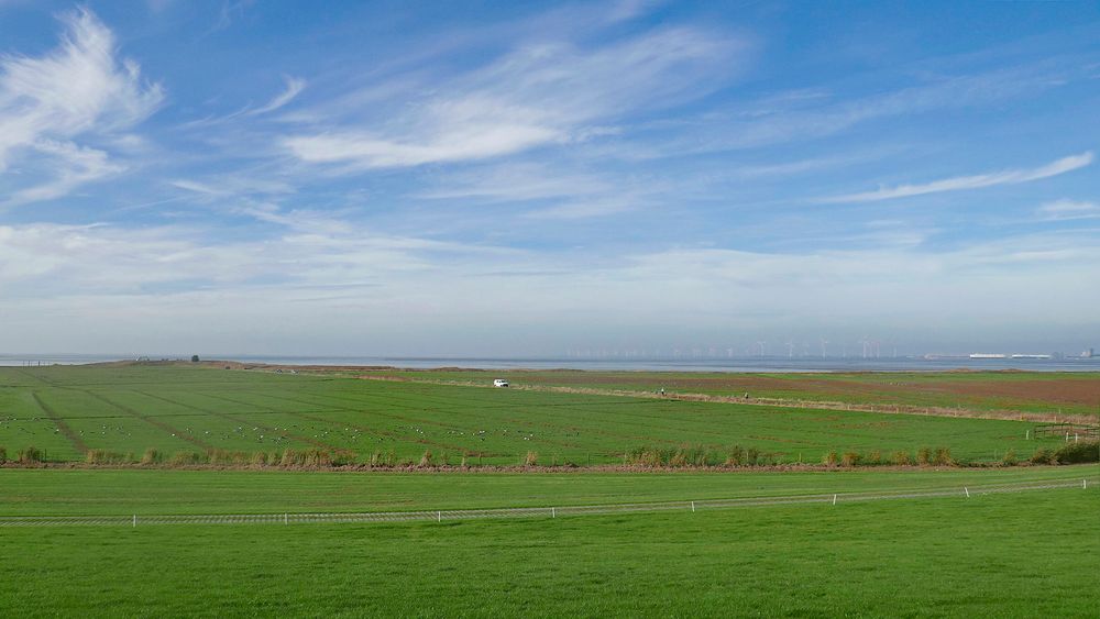 Deichvorland an der östlichen Dollart-Küste (Rheiderland) mit der sog. "Bohrinsel" (links), ...