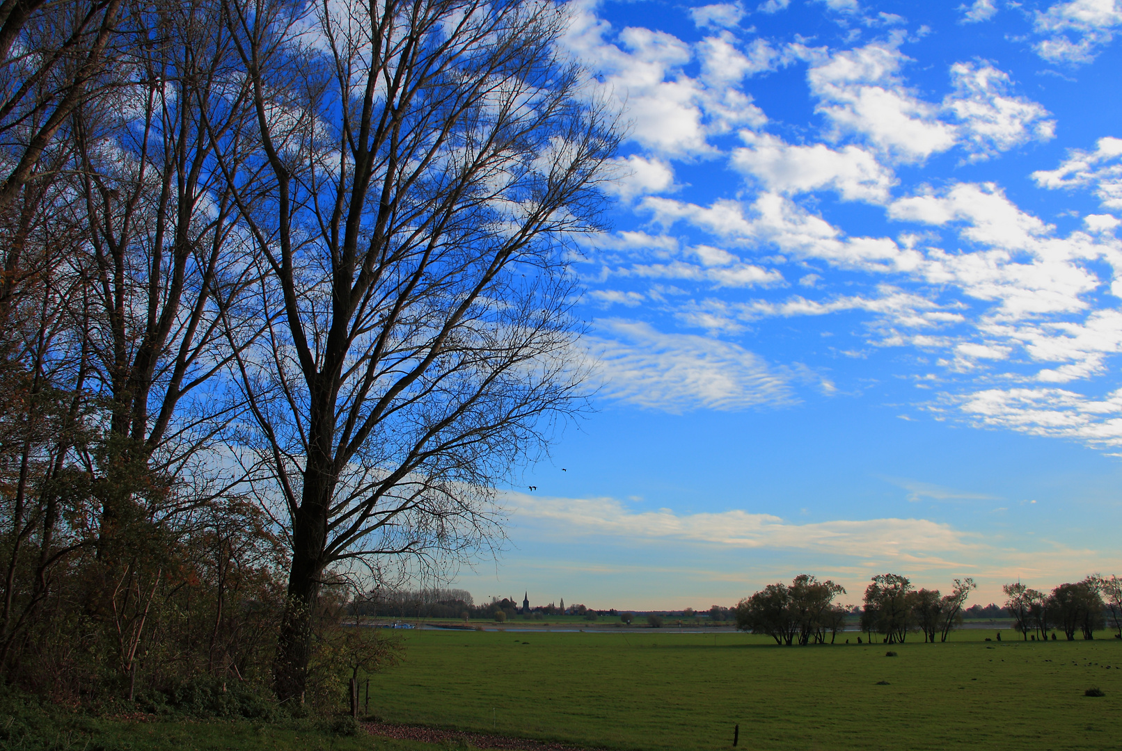 Deichvorland bei Xanten/ Lüttingen