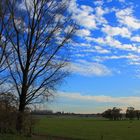 Deichvorland bei Xanten/ Lüttingen