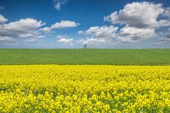 Deichwandern auf der 2. Ebene