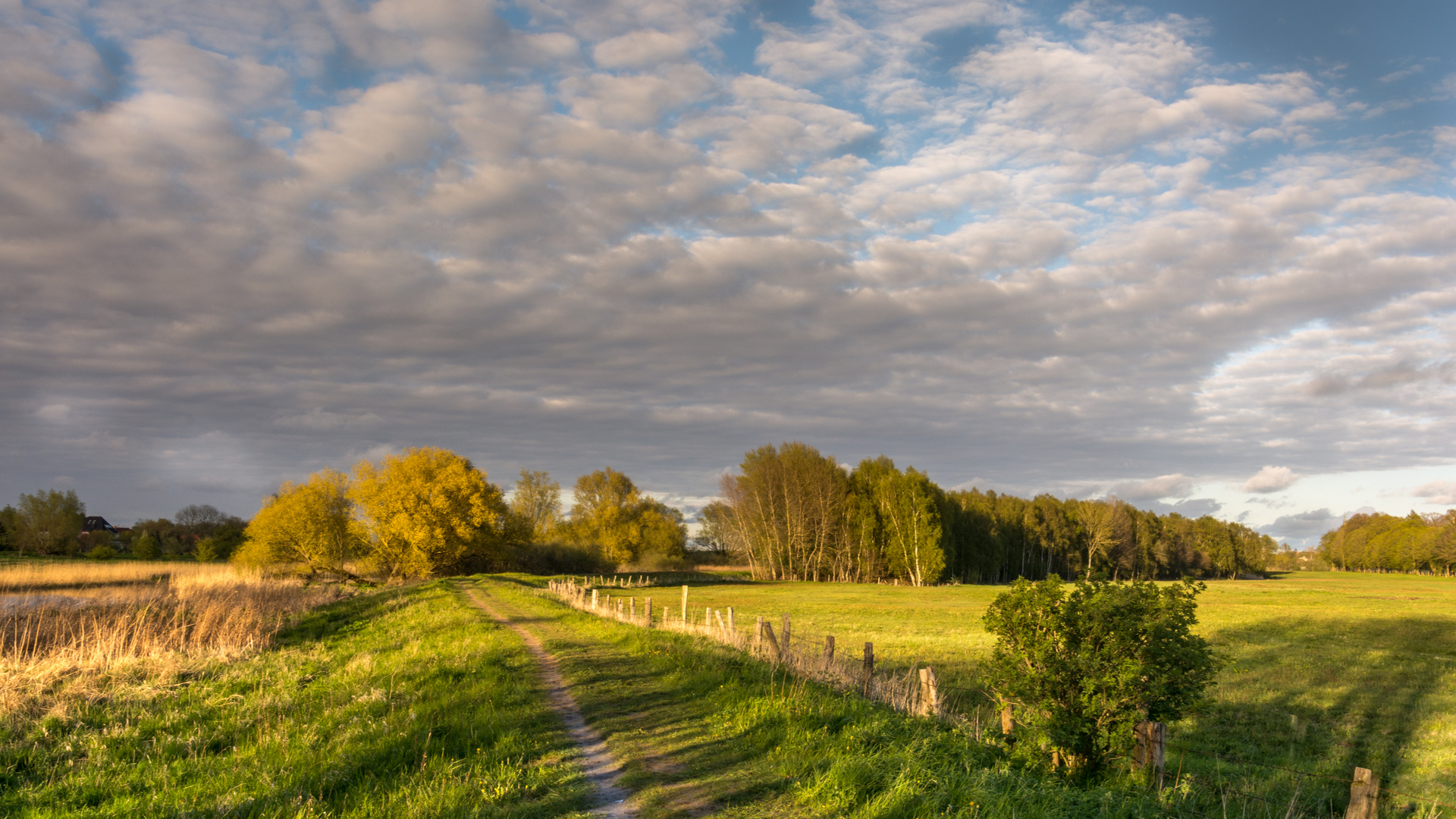 deichweg am ryck