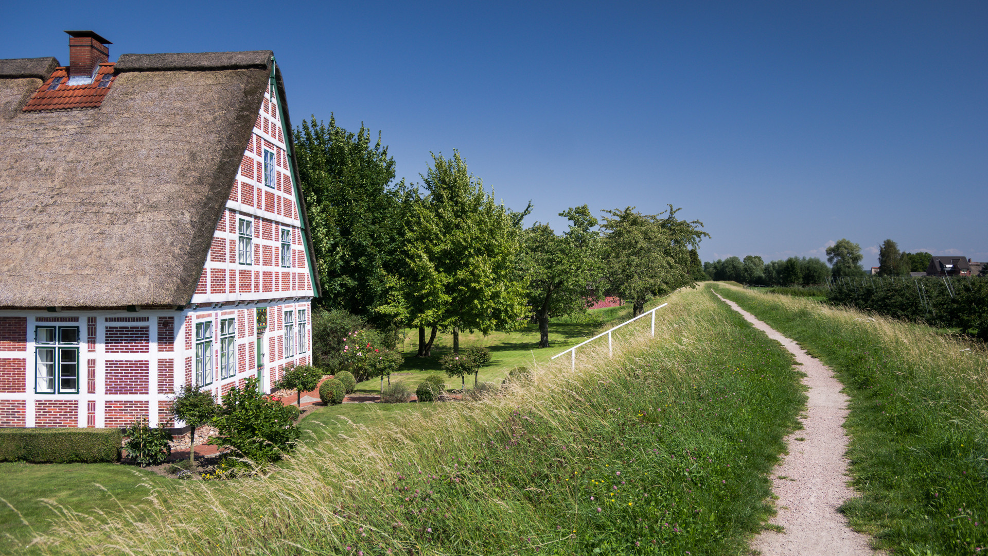 Deichweg im Alten Land