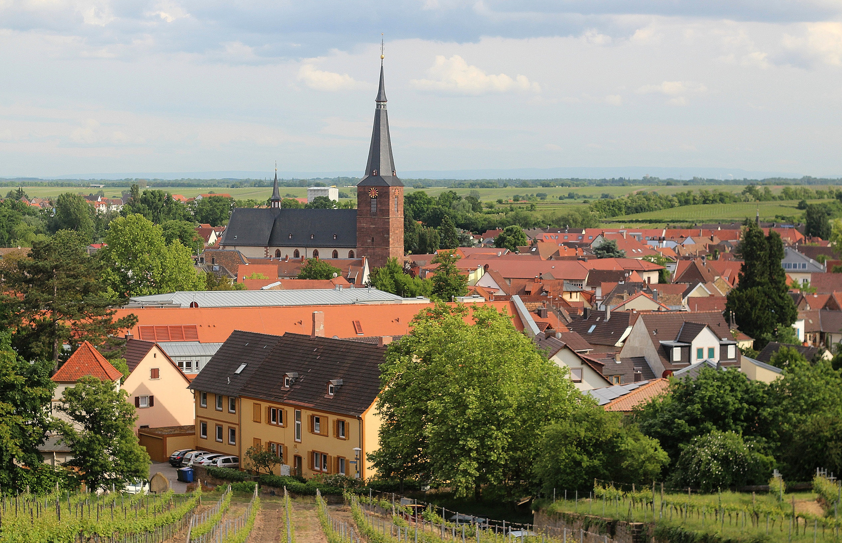 Deidesheim