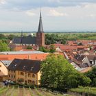 Deidesheim