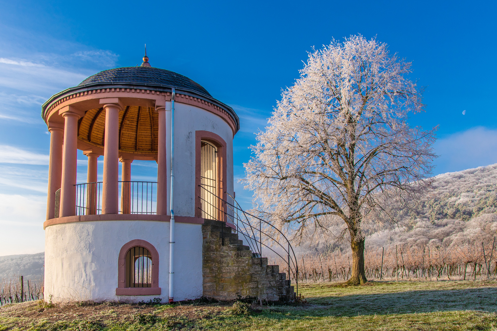 Deidesheimer Tempel 