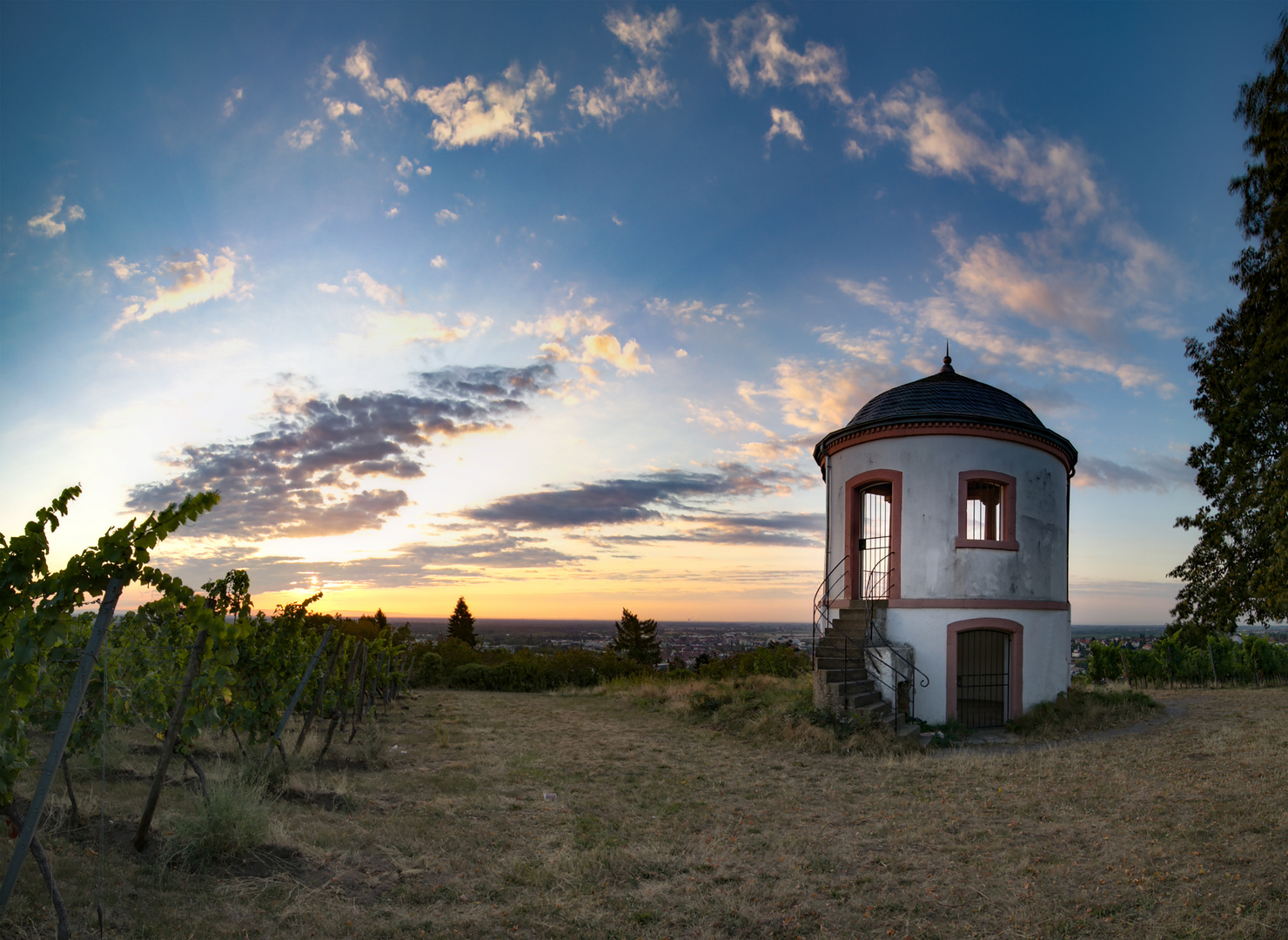 Deidesheimer_Tempel