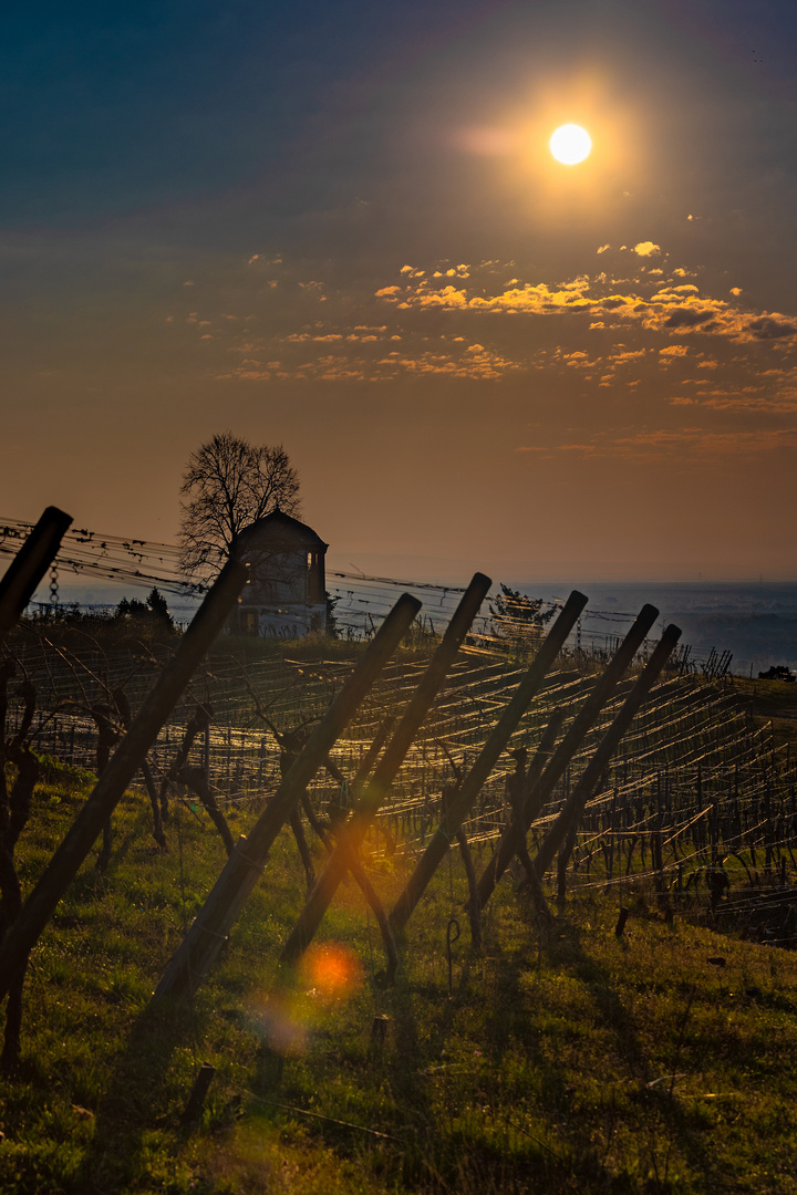 Deidesheimer_Tempel_Sonnenaufgang