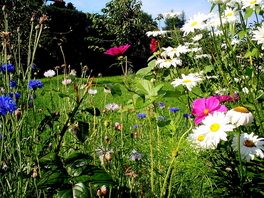 Dein Herz und dein Geist gleichen einen Garten von Uwe Offner aus Wanfried