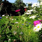 Dein Herz und dein Geist gleichen einen Garten von Uwe Offner aus Wanfried