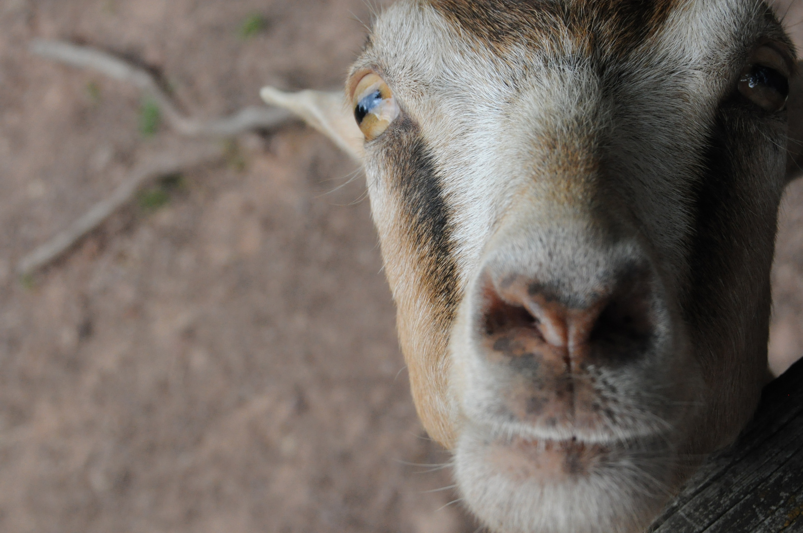 Deine Augen machen bling bling