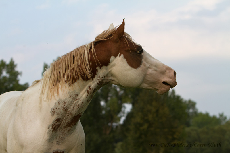 Deine blauen Augen