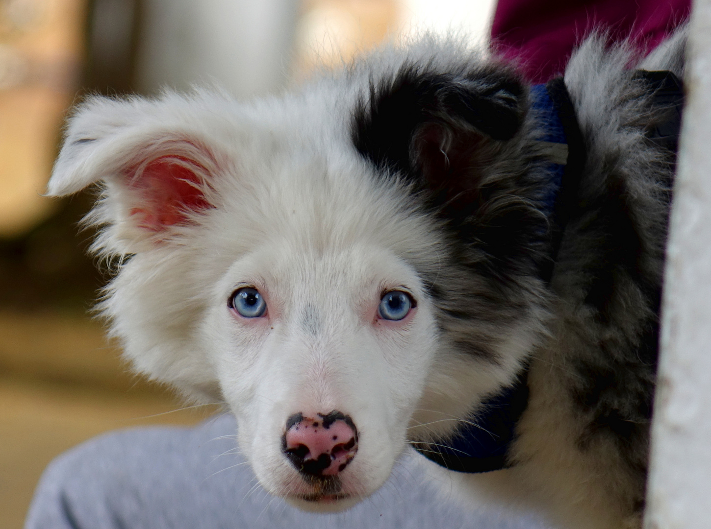 deine blauen Augen...