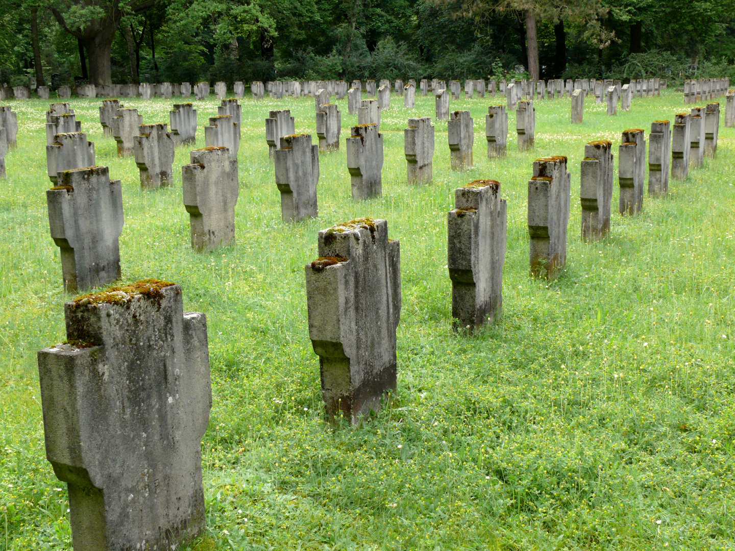 Deine Kraft, deine Jugend, dein Leben