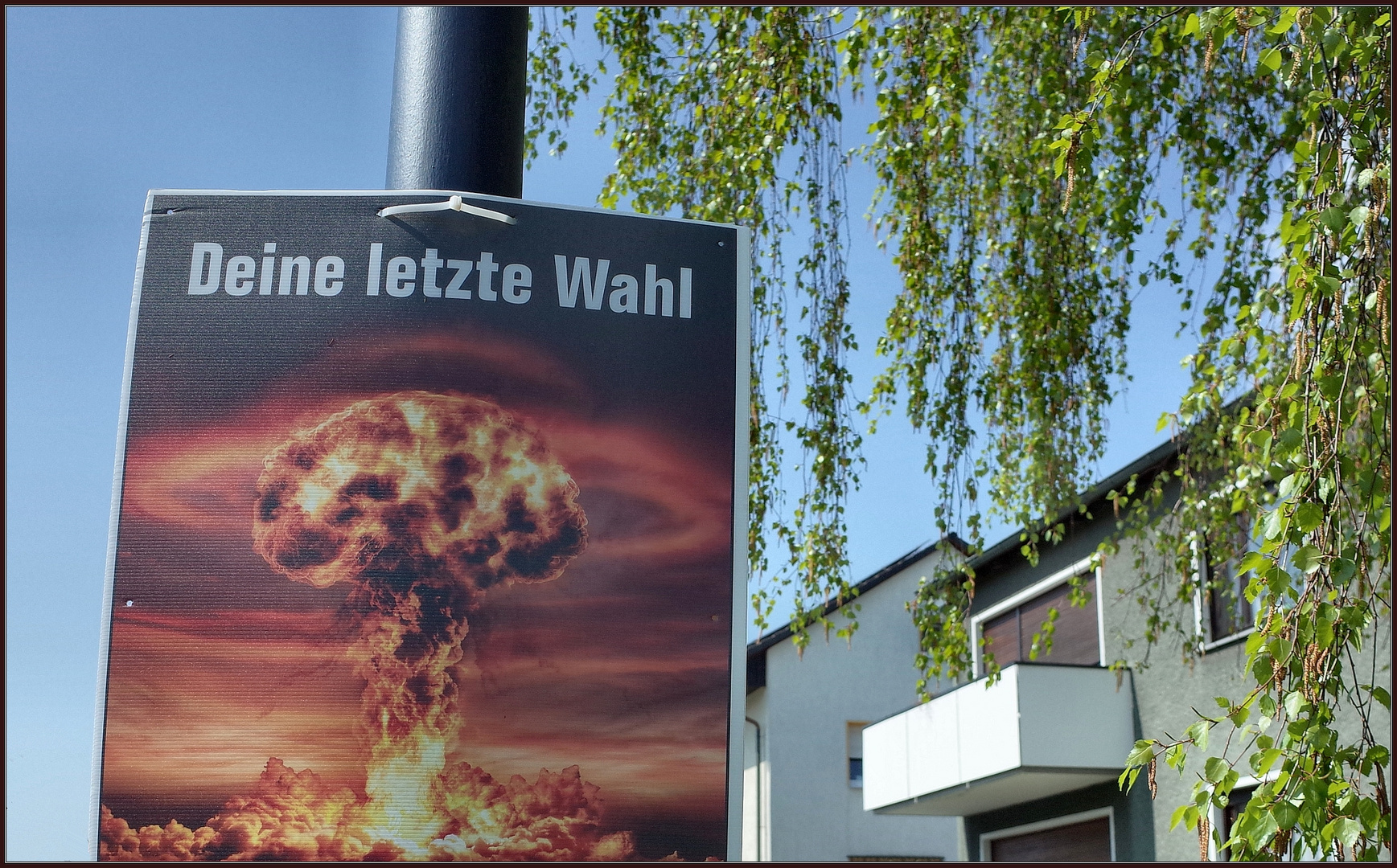 Deine letzte Wahl