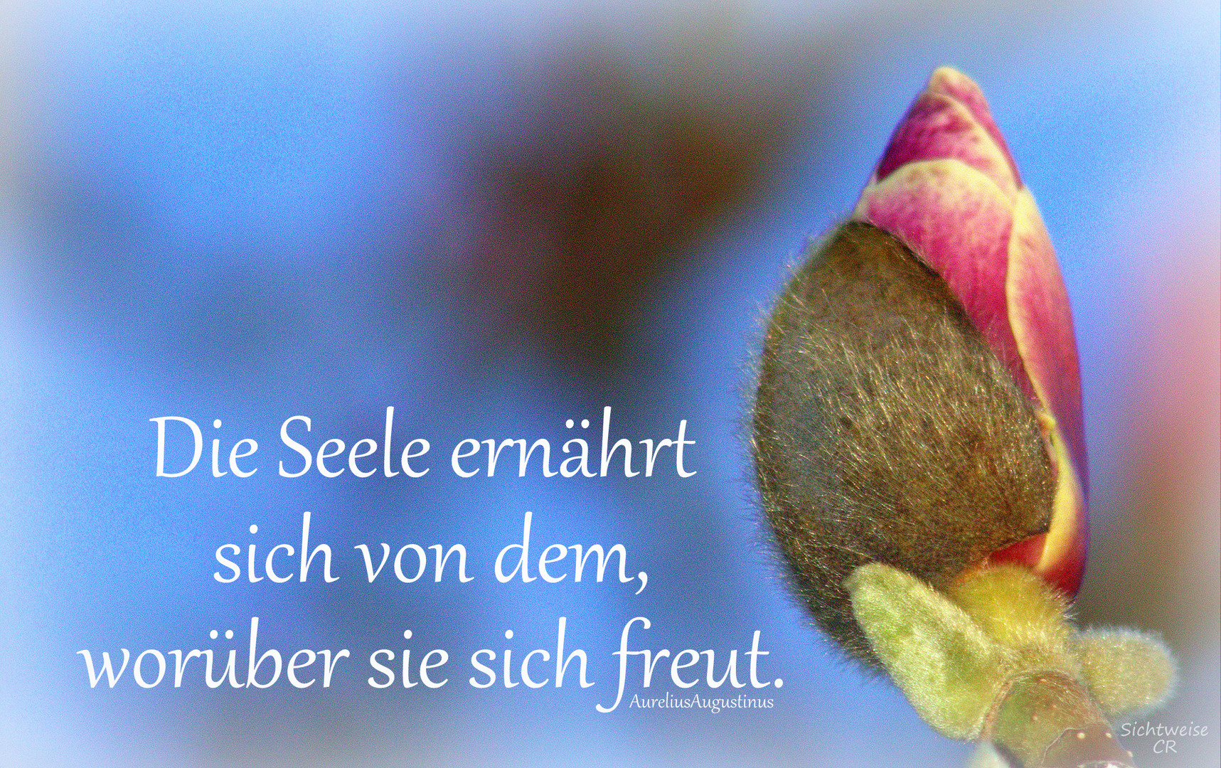 Deine Seele ...