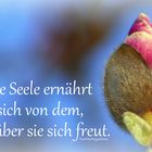 Deine Seele ...