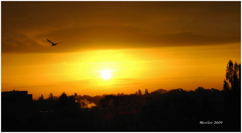 Deine Seele ist ein Vogel