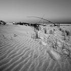 Deine Spur im Sand