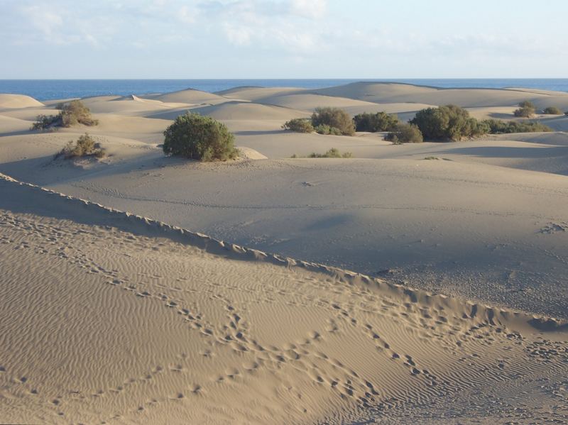 Deine Spuren im Sand, ...