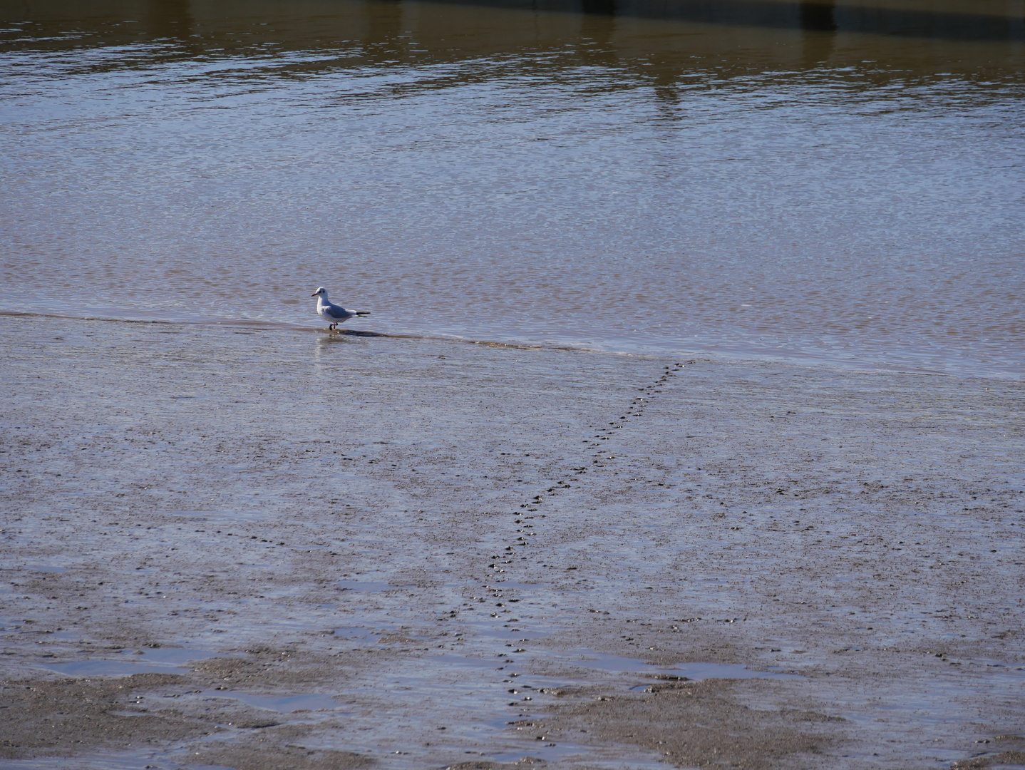 Deine Spuren im Sand...