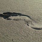 deine Spuren im Sand...