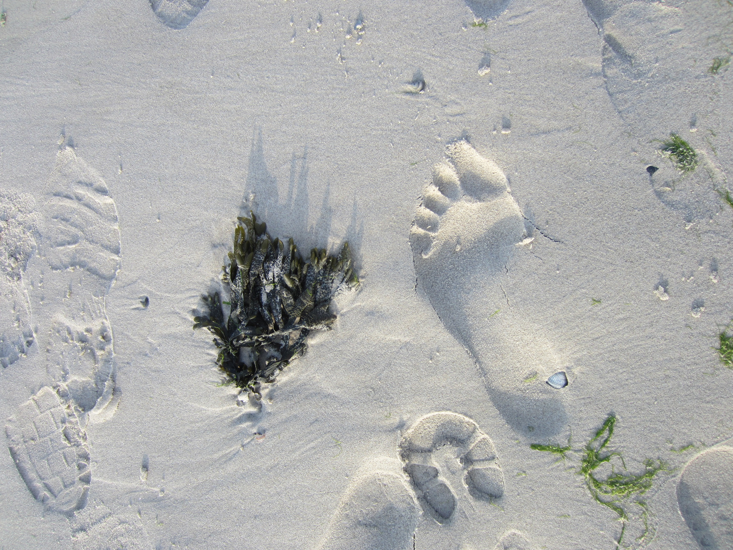 Deine Spuren im Sand