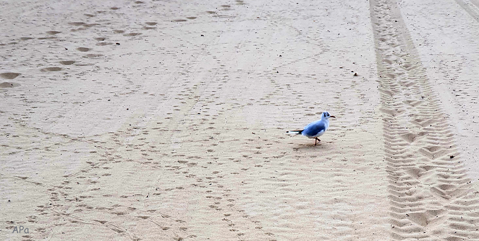 Deine Spuren im Sand...