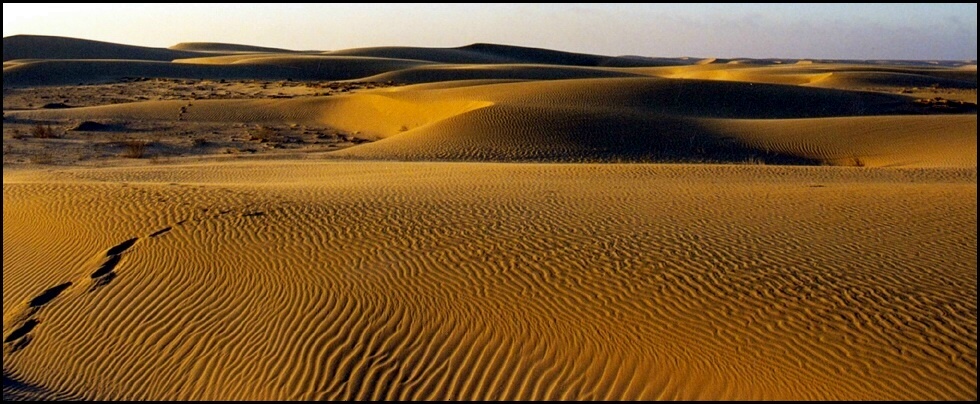 Deine Spuren im Sand