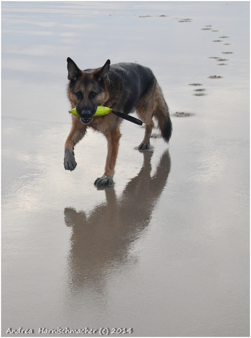 Deine Spuren im Sand ...