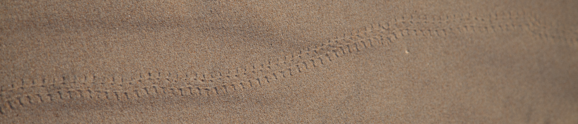 Deine Spuren im Sand