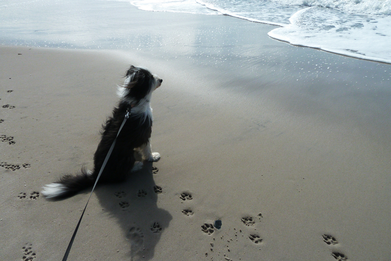 ~~~ Deine Spuren im Sand ~~~