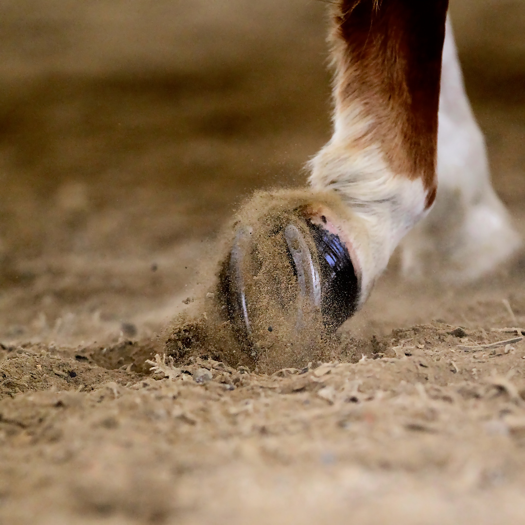 Deine Spuren im Sand.....