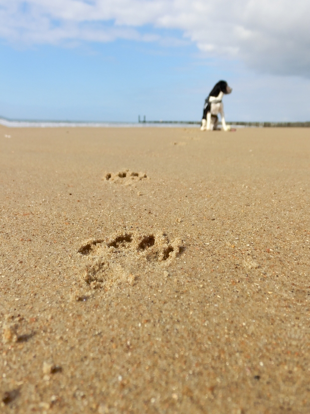 deine Spuren im Sand