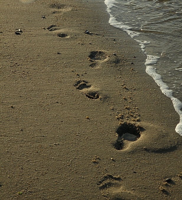 Deine Spuren im Sand