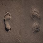 deine Spuren im Sand