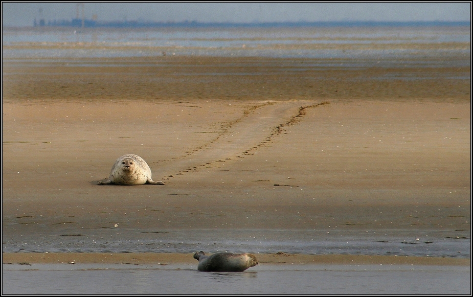 Deine Spuren im Sand...