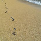Deine Spuren im Sand / Your footsteps in the sand